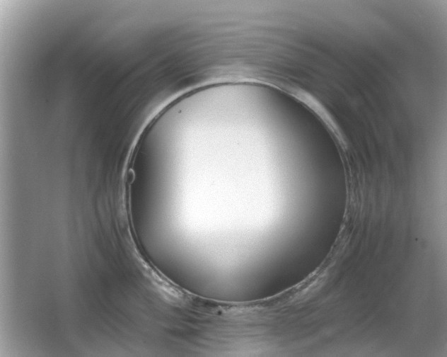 X0000063521004200601231511