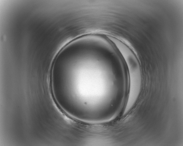 X0000063521007200601231511