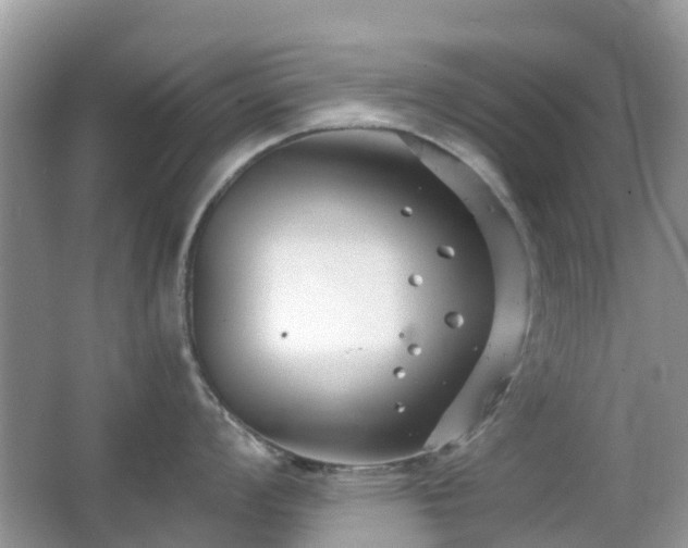 X0000063521008200601231511