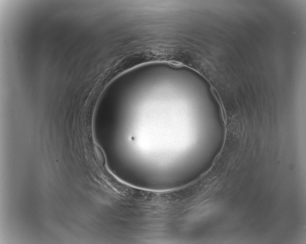 X0000063521009200601231510