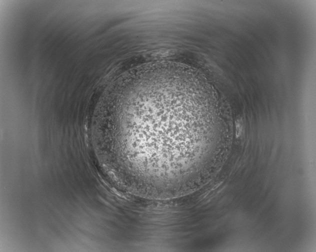 X0000063521011200601231510