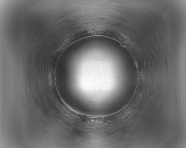 X0000063521012200601231510