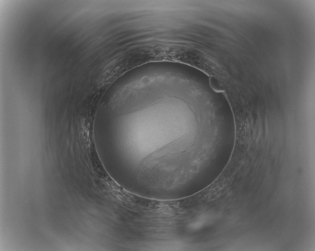 X0000063521013200601231510