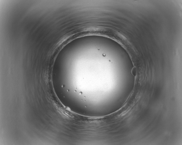 X0000063521017200601231510