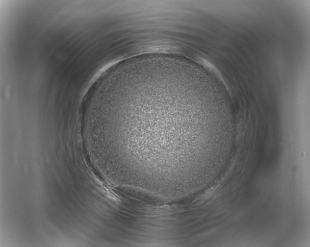 X0000063521019200601231510