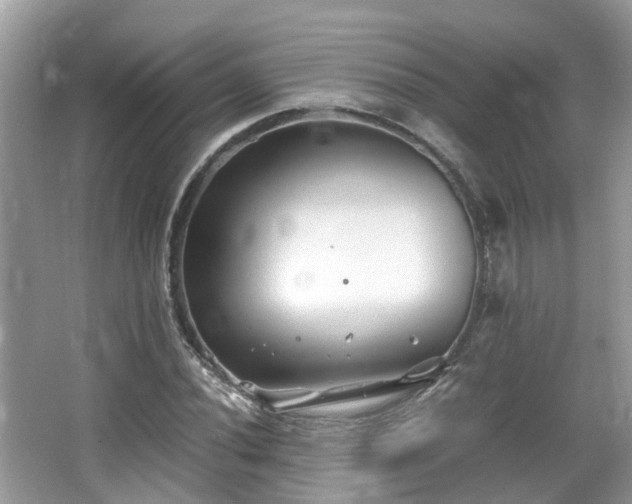 X0000063521020200601231510