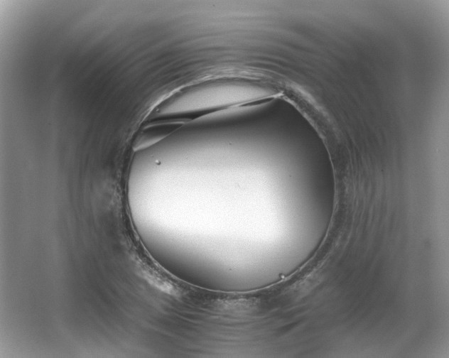 X0000063521025200601231510