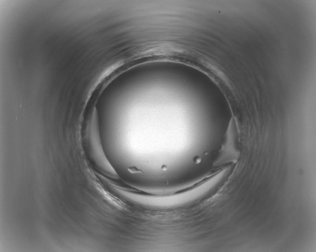 X0000063521026200601231510