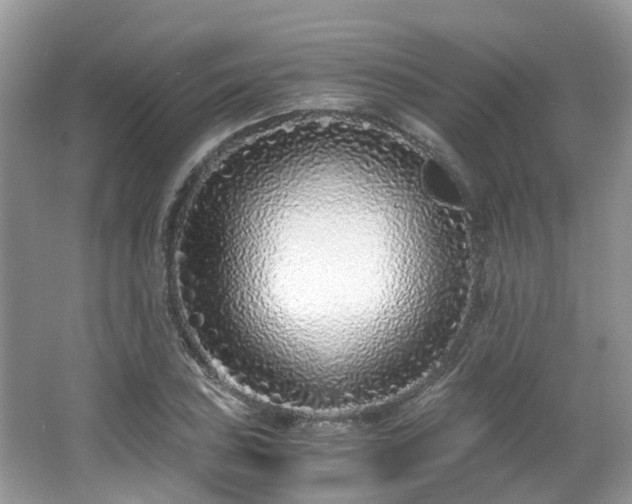 X0000063521027200601231510