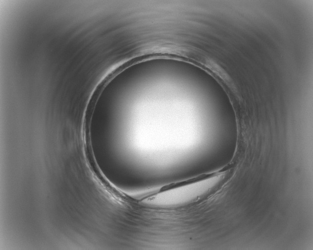 X0000063521028200601231510