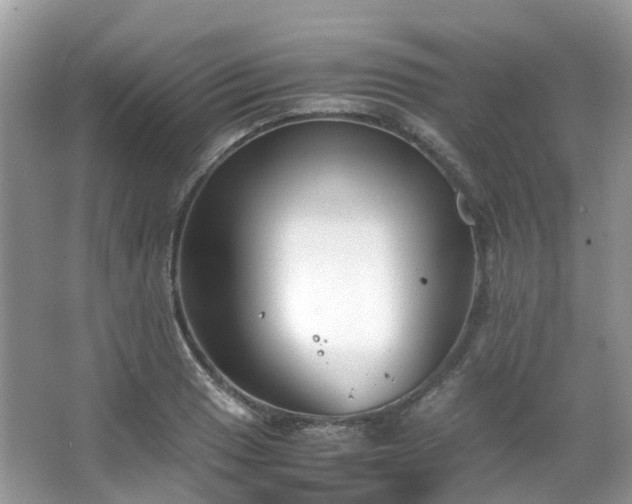 X0000063521033200601231510