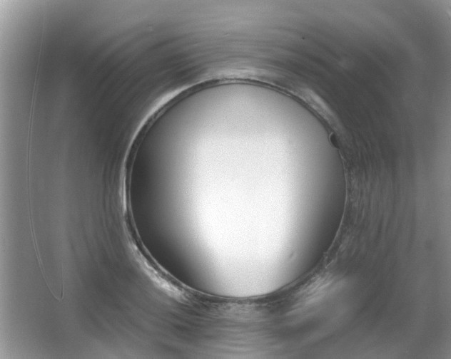 X0000063521036200601231510