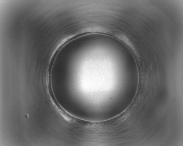 X0000063521040200601231510