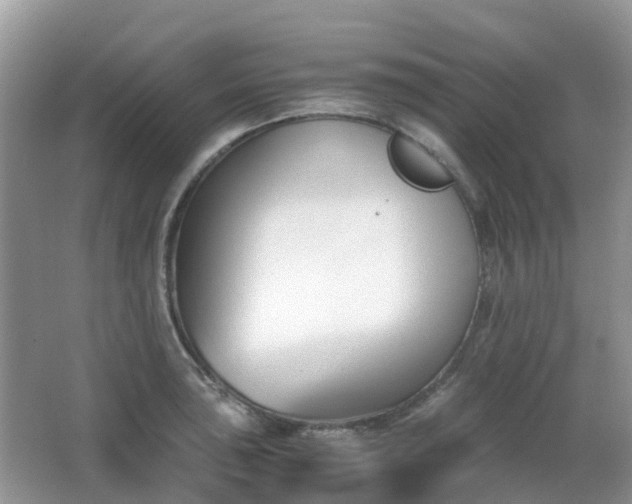 X0000063521043200601231510