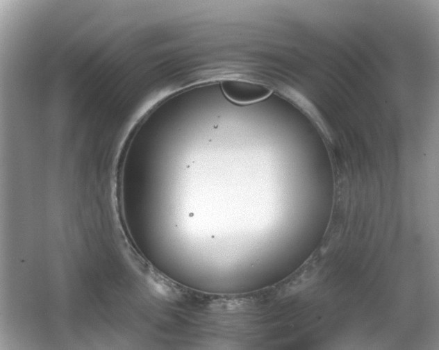 X0000063521051200601231510