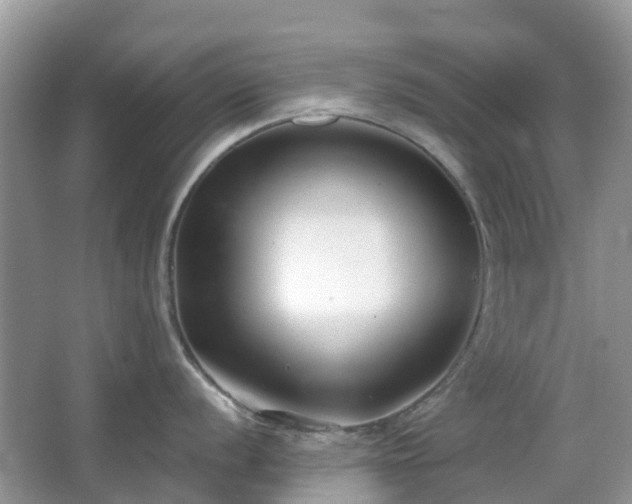 X0000063521056200601231511