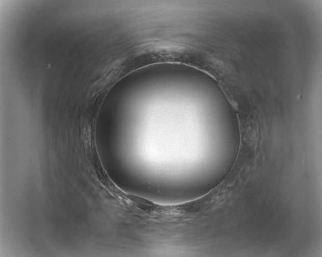 X0000063521061200601231510