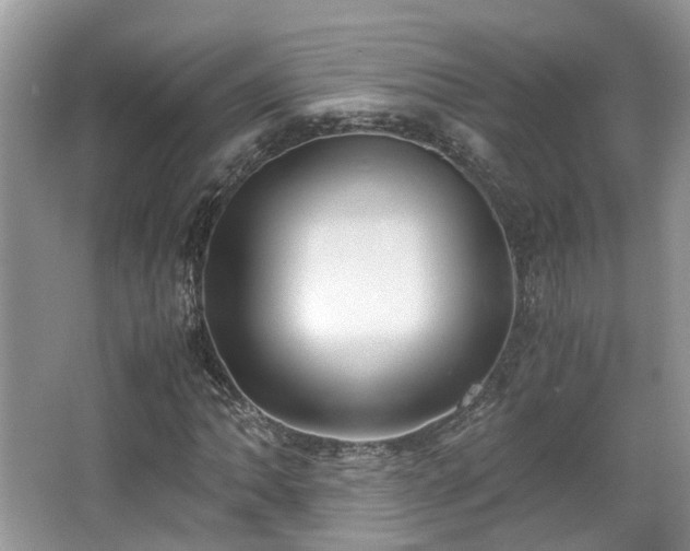 X0000063521062200601231510