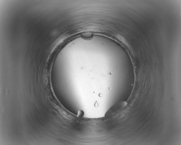 X0000063521067200601231510