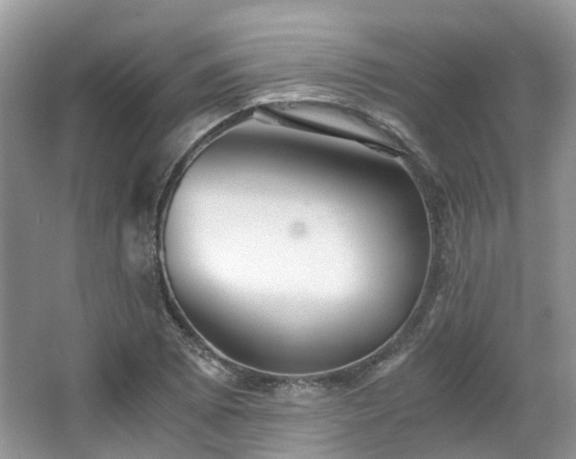 X0000063521073200601231509