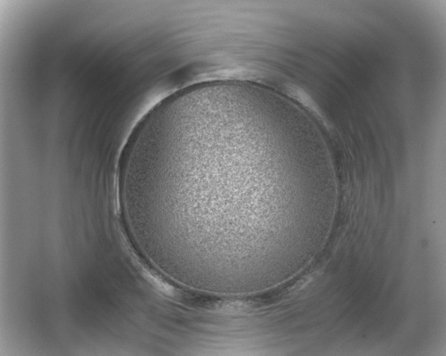 X0000063521079200601231509