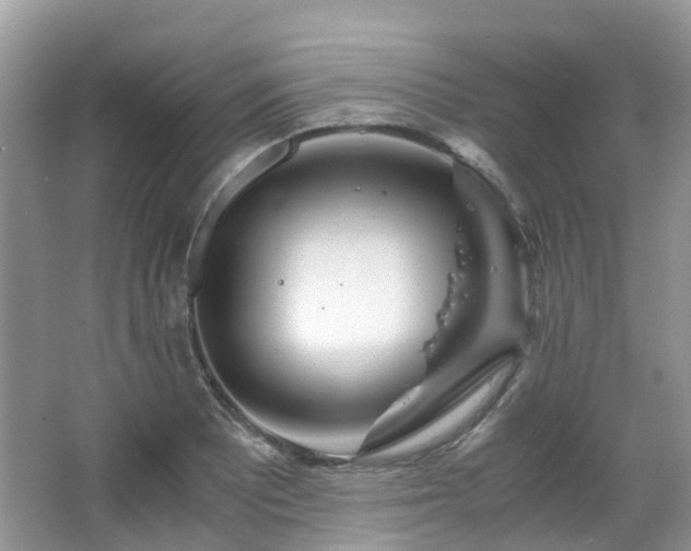 X0000063521081200601231509