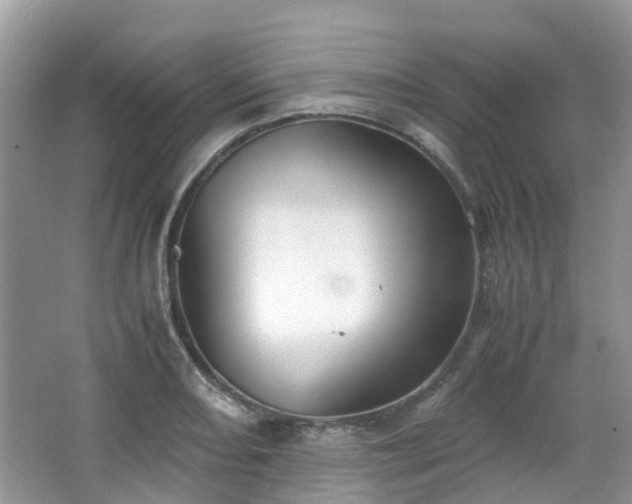 X0000063521082200601231509