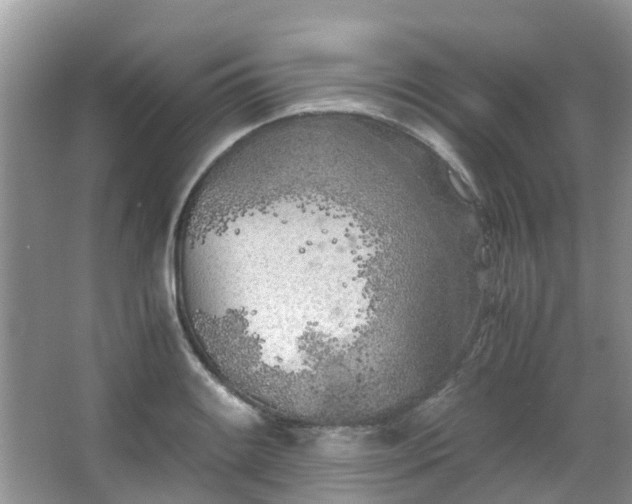 X0000063521084200601231509