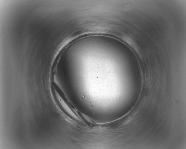 X0000063521085200601231509