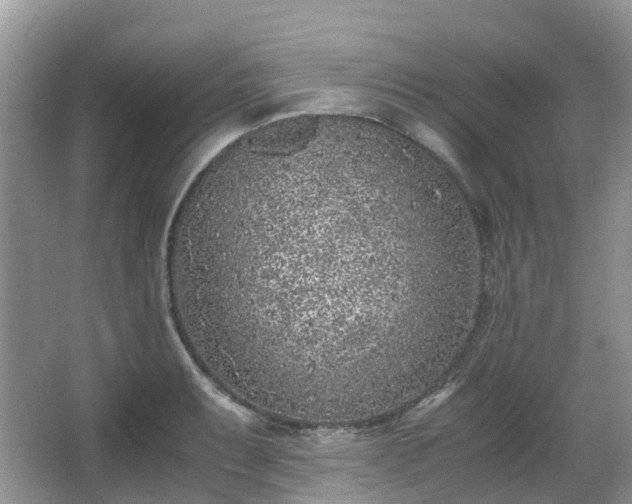 X0000063521087200601231509