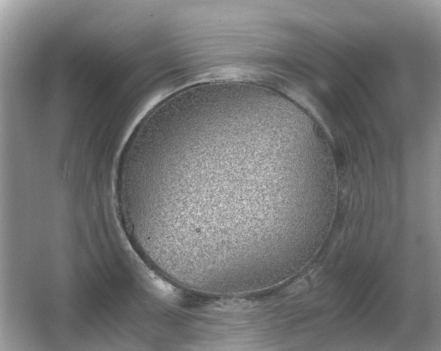 X0000063521091200601231509