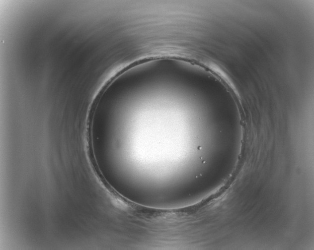 X0000063521093200601231509