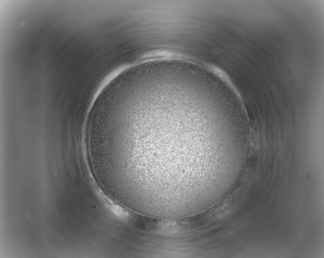 X0000063521098200601231509