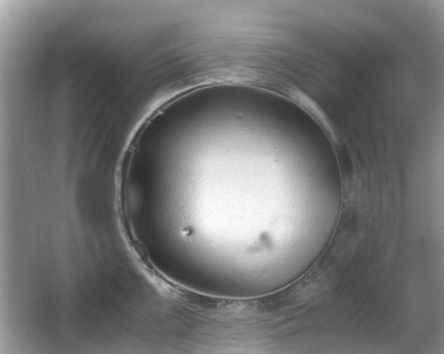 X0000063521099200601231509