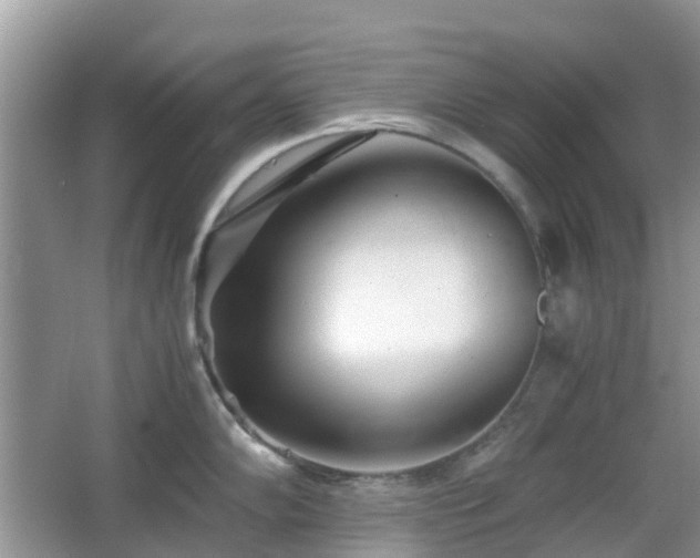 X0000063521102200601231509