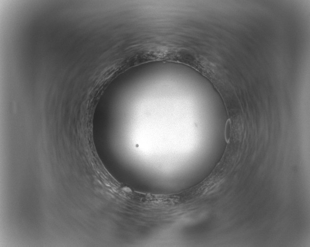 X0000063521105200601231508