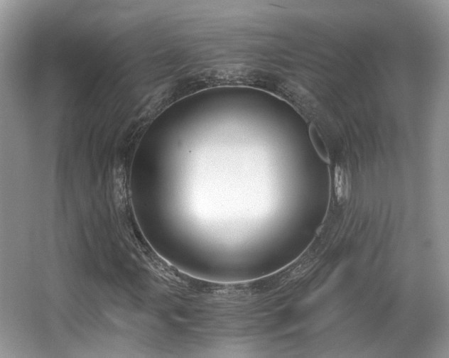 X0000063521107200601231508