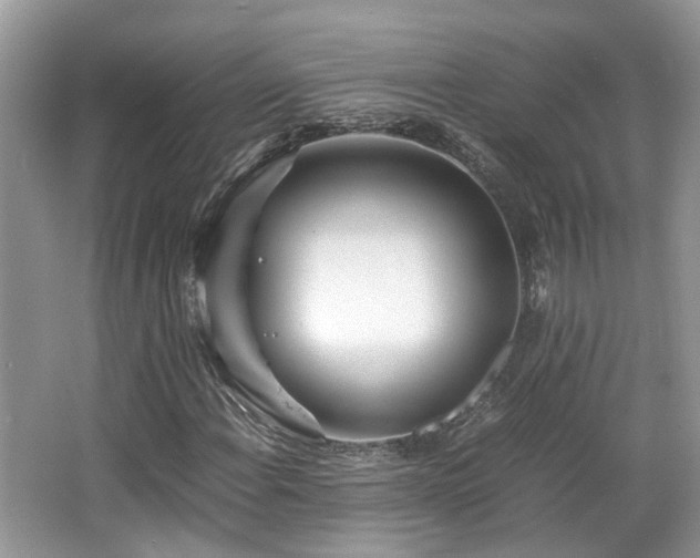 X0000063521108200601231508