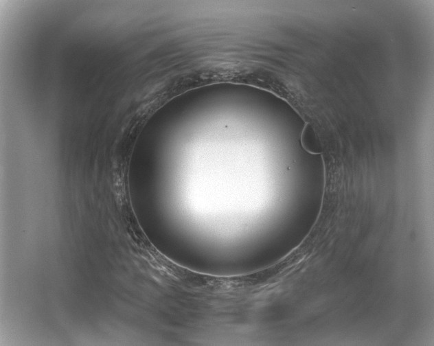 X0000063521109200601231508