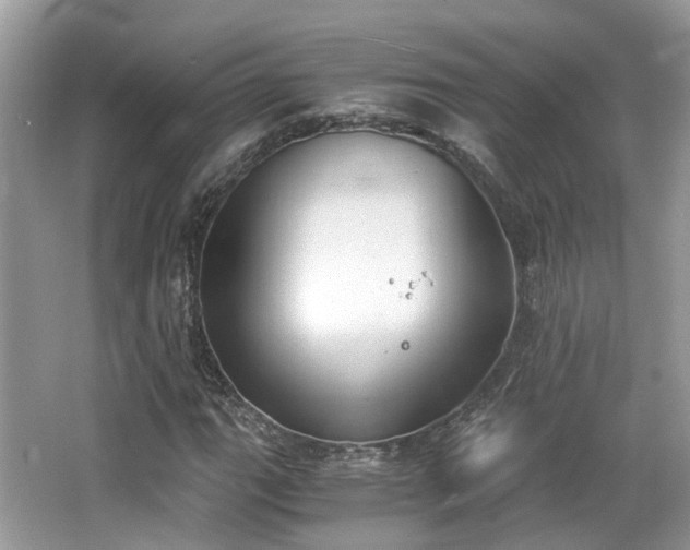 X0000063521111200601231508