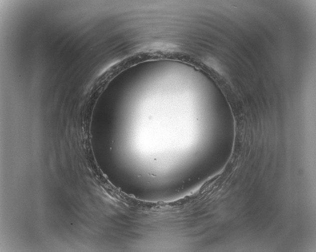 X0000063521112200601231508