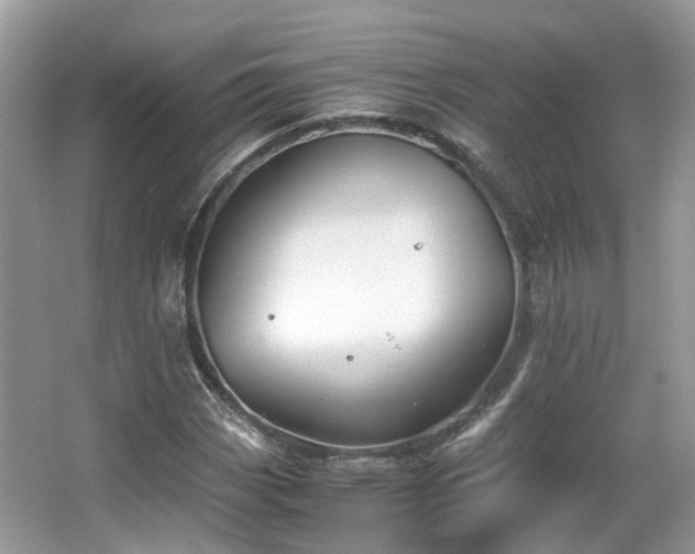 X0000063521113200601231508