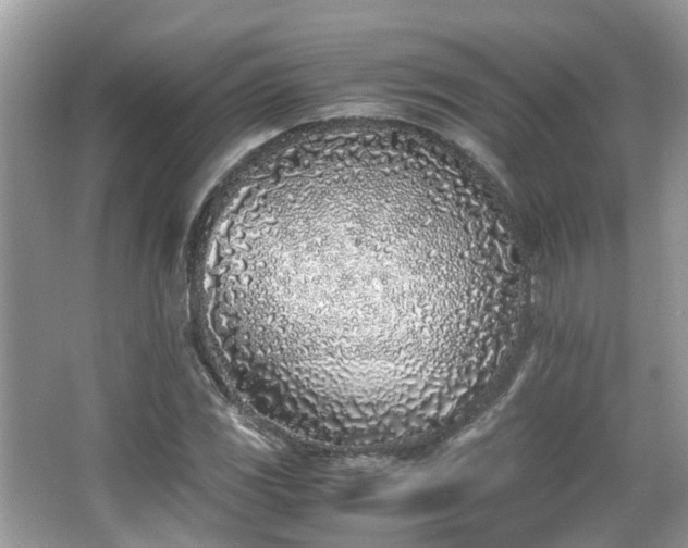 X0000063521117200601231508