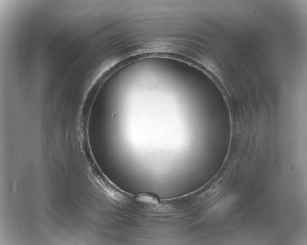 X0000063521119200601231508