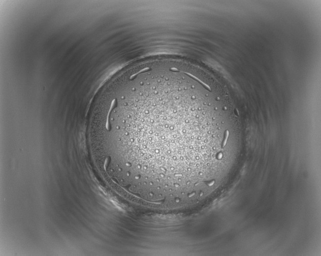 X0000063521121200601231508