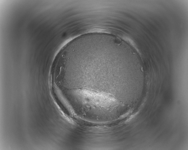 X0000063521125200601231508