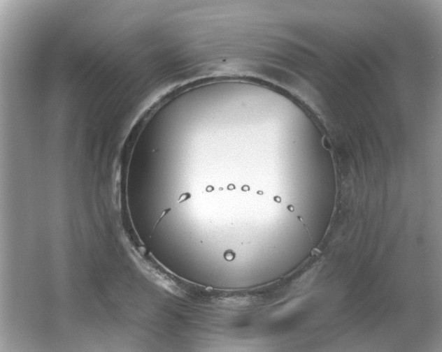 X0000063521126200601231508