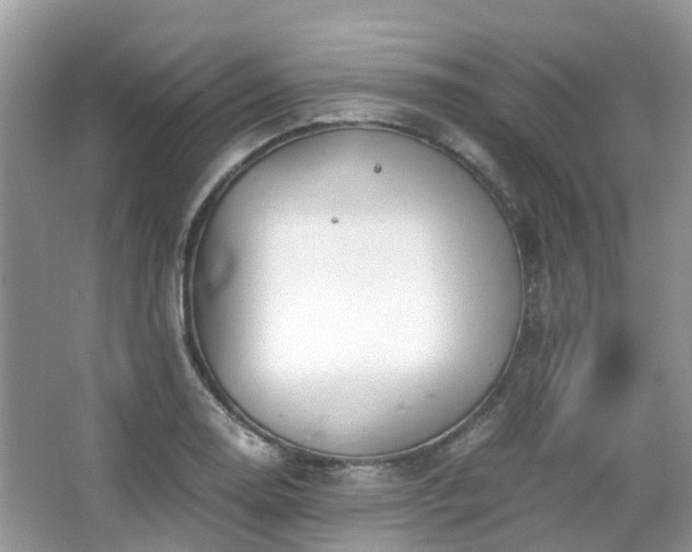 X0000063521130200601231509