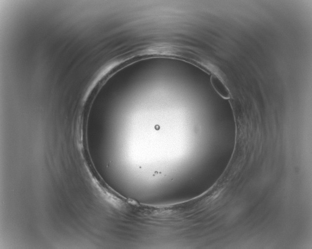 X0000063521131200601231509