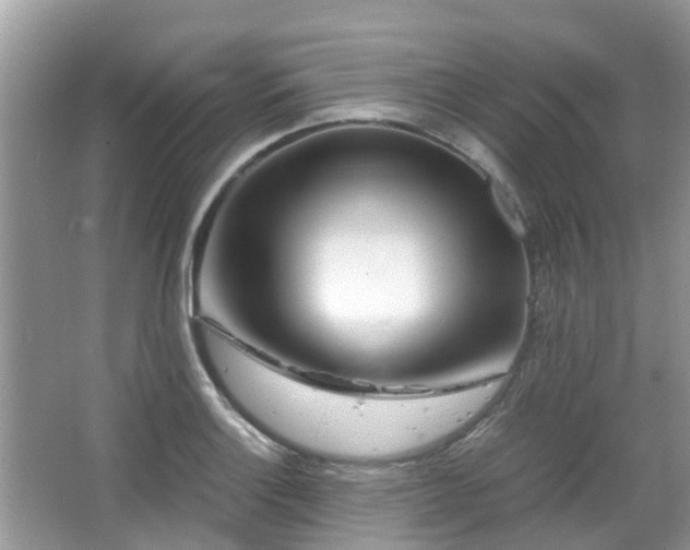 X0000063521132200601231509